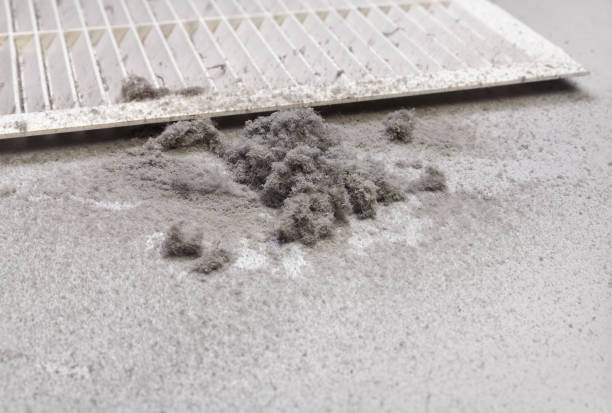 Best Air Vent Cleaning Services  in Kinston, NC